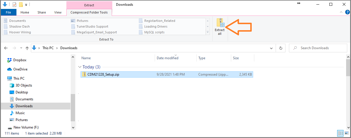 Extract Downloaded File